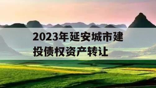 2023年延安城市建投债权资产转让