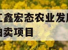 内江鑫宏态农业发展债权拍卖项目