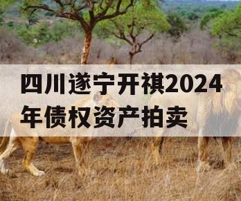 四川遂宁开祺2024年债权资产拍卖