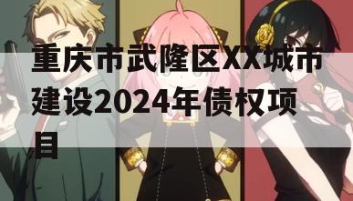 重庆市武隆区XX城市建设2024年债权项目