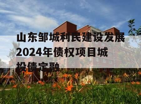 山东邹城利民建设发展2024年债权项目城投债定融