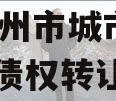 河南林州市城市投资2024年债权转让协议