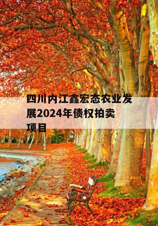 四川内江鑫宏态农业发展2024年债权拍卖项目