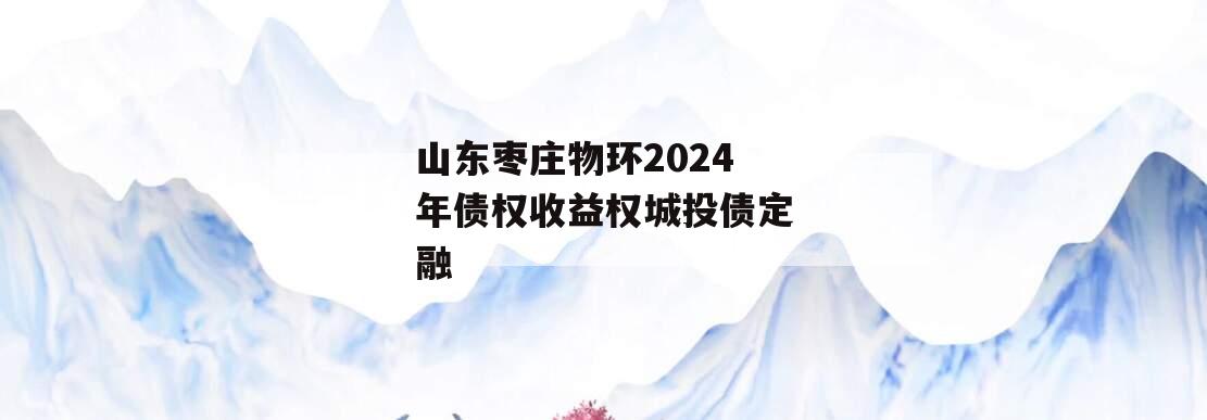 山东枣庄物环2024年债权收益权城投债定融