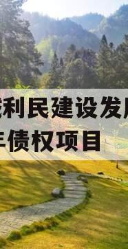 邹城利民建设发展2024年债权项目