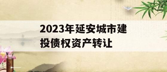 2023年延安城市建投债权资产转让