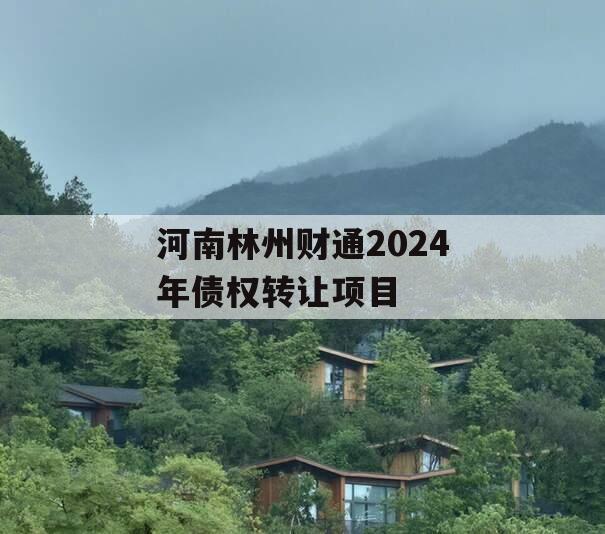 河南林州财通2024年债权转让项目