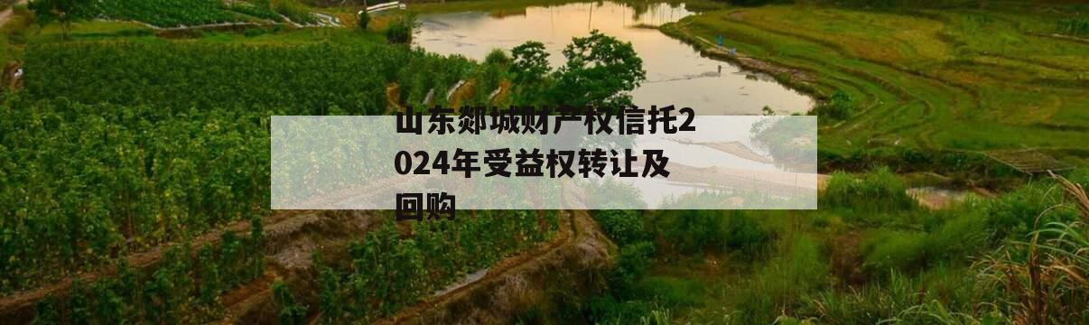 山东郯城财产权信托2024年受益权转让及回购