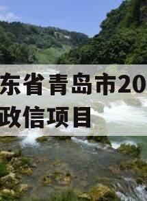 山东省青岛市2024年政信项目