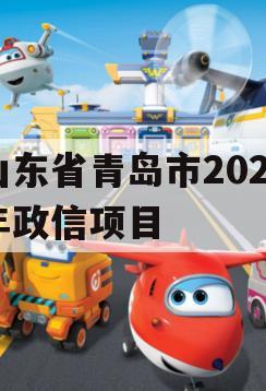 山东省青岛市2024年政信项目