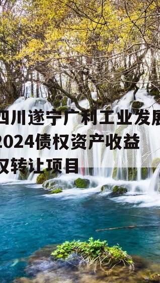 四川遂宁广利工业发展2024债权资产收益权转让项目