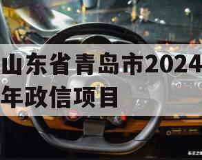 山东省青岛市2024年政信项目