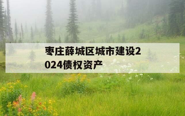 枣庄薛城区城市建设2024债权资产