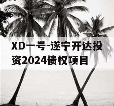 XD一号-遂宁开达投资2024债权项目