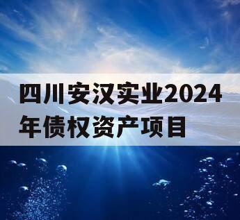 四川安汉实业2024年债权资产项目