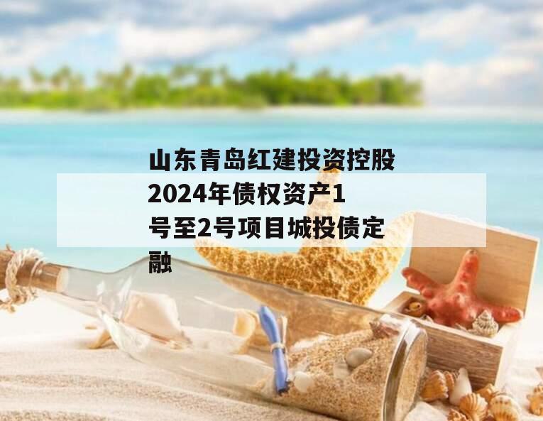 山东青岛红建投资控股2024年债权资产1号至2号项目城投债定融