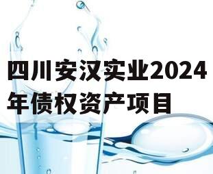 四川安汉实业2024年债权资产项目