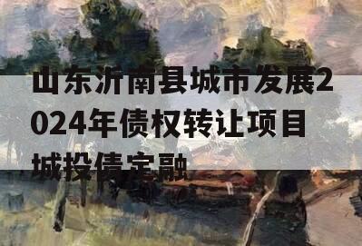 山东沂南县城市发展2024年债权转让项目城投债定融