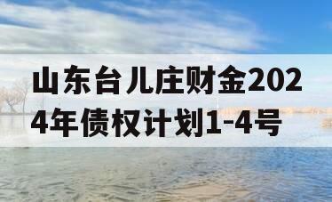 山东台儿庄财金2024年债权计划1-4号