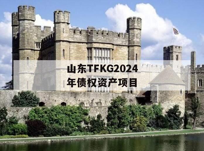 山东TFKG2024年债权资产项目