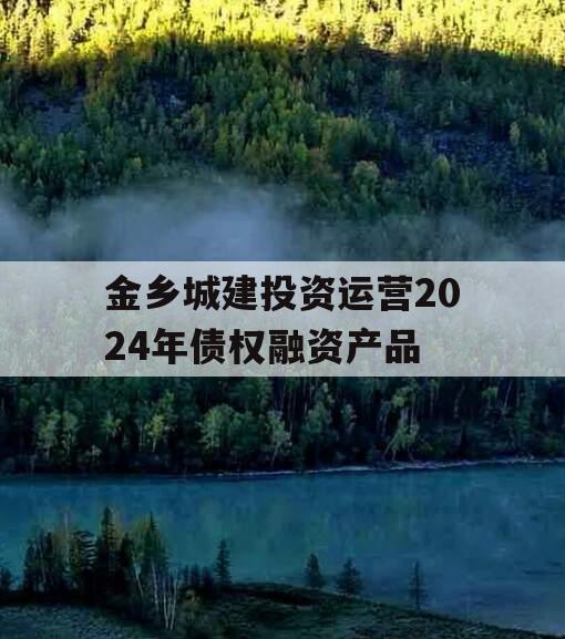 金乡城建投资运营2024年债权融资产品