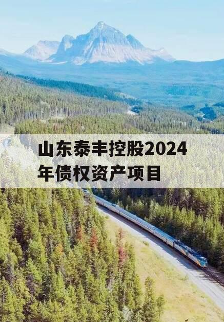 山东泰丰控股2024年债权资产项目