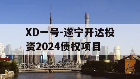 XD一号-遂宁开达投资2024债权项目