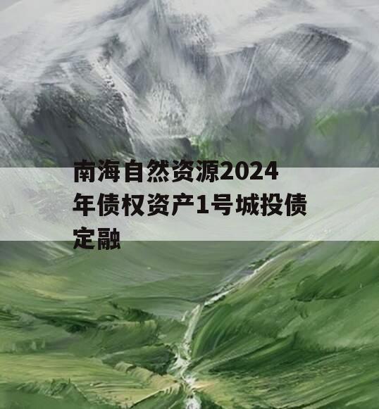 南海自然资源2024年债权资产1号城投债定融