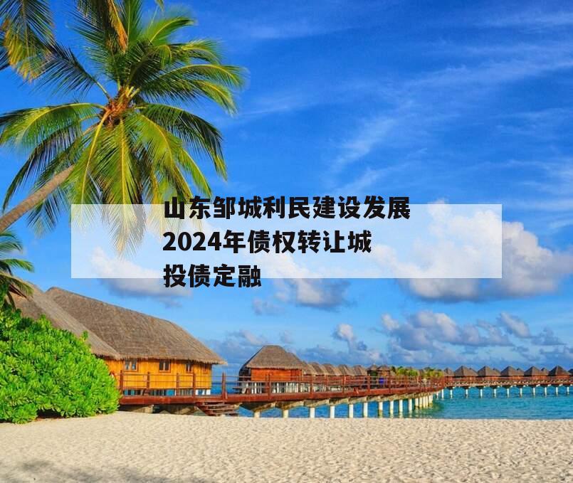 山东邹城利民建设发展2024年债权转让城投债定融