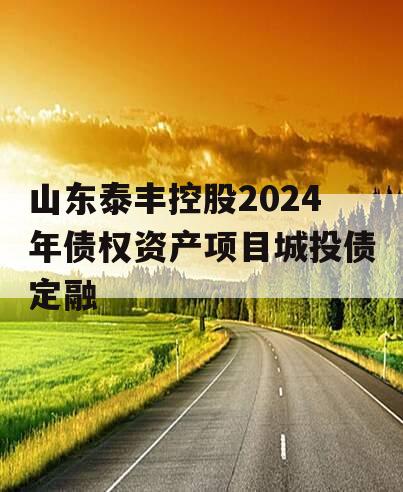 山东泰丰控股2024年债权资产项目城投债定融