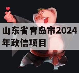 山东省青岛市2024年政信项目