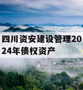 四川资安建设管理2024年债权资产