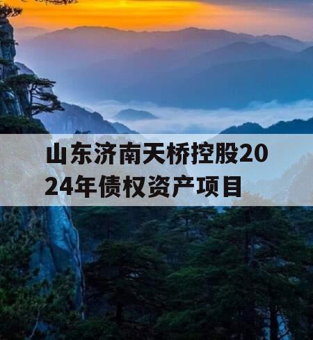 山东济南天桥控股2024年债权资产项目