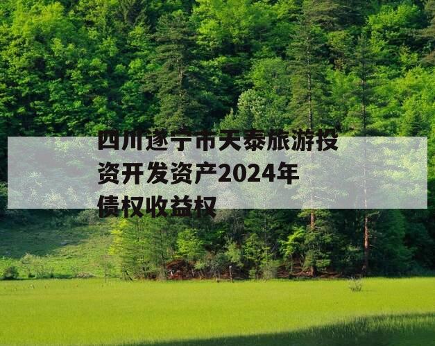 四川遂宁市天泰旅游投资开发资产2024年债权收益权