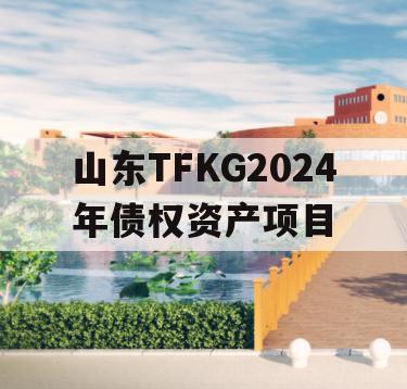 山东TFKG2024年债权资产项目