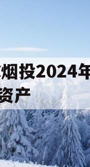 XC烟投2024年债权资产