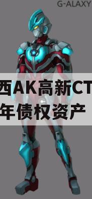 陕西AK高新CT2024年债权资产