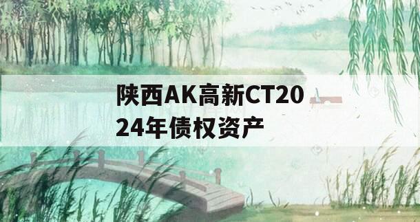 陕西AK高新CT2024年债权资产