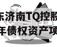 山东济南TQ控股2024年债权资产项目