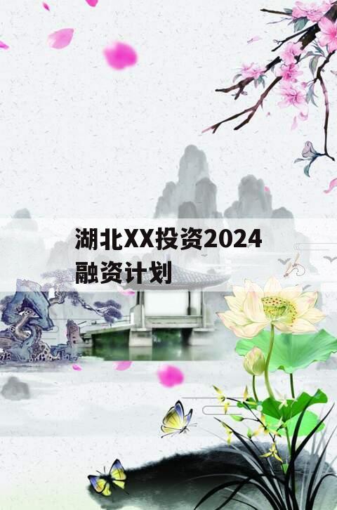 湖北XX投资2024融资计划