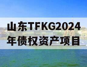 山东TFKG2024年债权资产项目