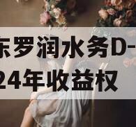 山东罗润水务D-1号2024年收益权