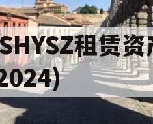 JSHYSZ租赁资产(2024)