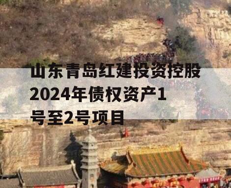 山东青岛红建投资控股2024年债权资产1号至2号项目