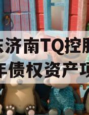 山东济南TQ控股2024年债权资产项目