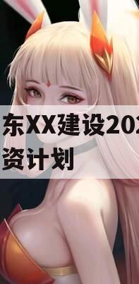 山东XX建设2024融资计划