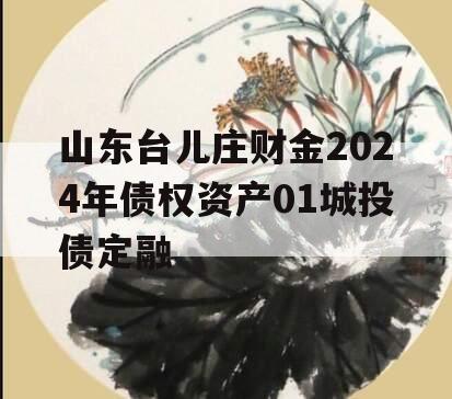 山东台儿庄财金2024年债权资产01城投债定融