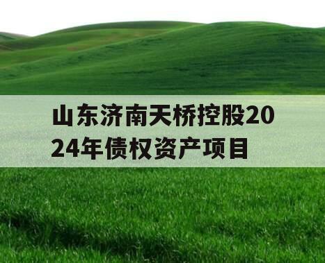 山东济南天桥控股2024年债权资产项目