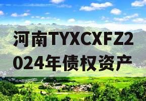 河南TYXCXFZ2024年债权资产