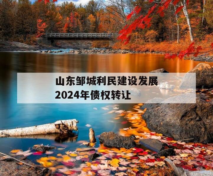 山东邹城利民建设发展2024年债权转让